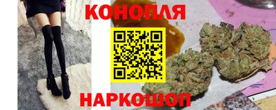 индика Обнинск