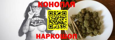 индика Обнинск