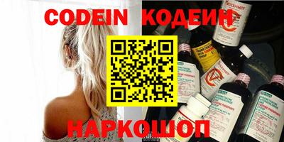 индика Обнинск
