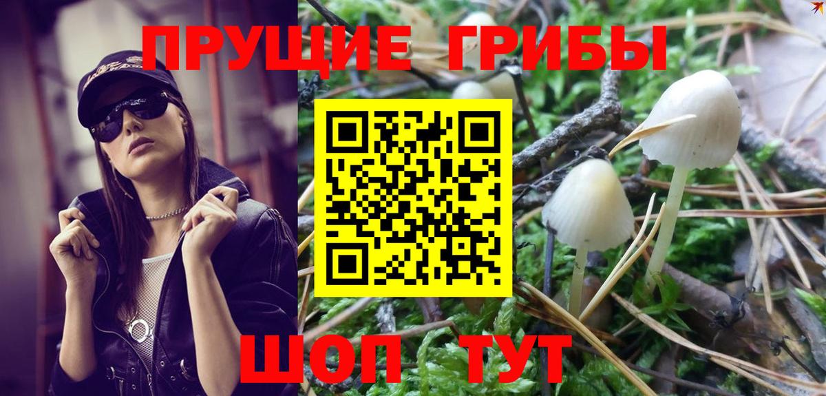 Нижнекамск  Галлюциногенные грибы Psilocybine cubensis  Вход с VPN 