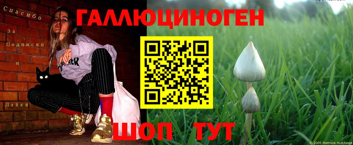 Галлюциногенные грибы мицелий Нижнекамск